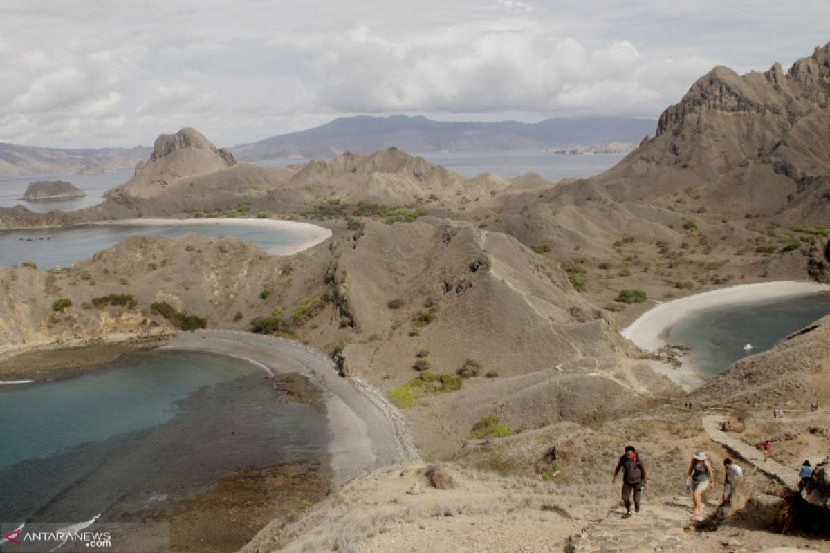 Pengawasan Taman Nasional Komodo dinilai lemah