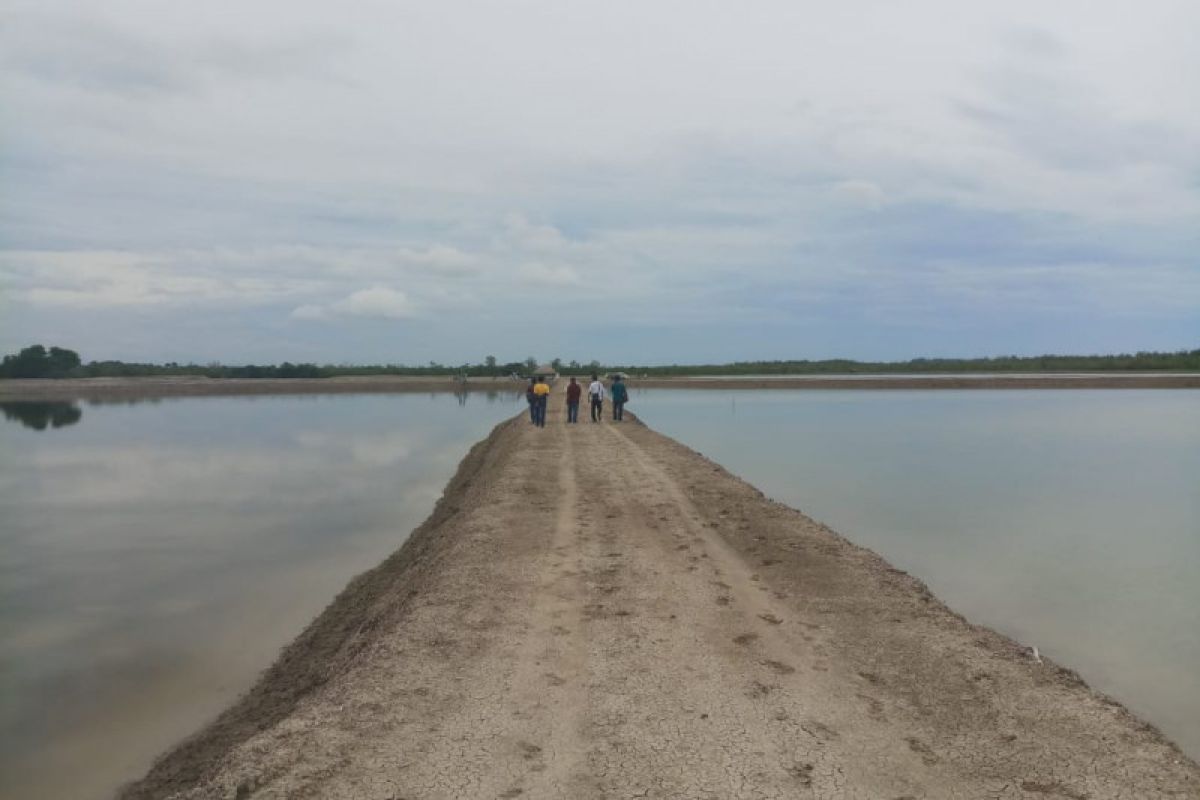 Sabu Raijua kembangan 20 hektare lahan garam bantuan KKP