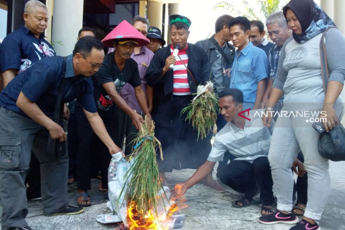 Harga gabah anjlok dikeluhkan petani Jember