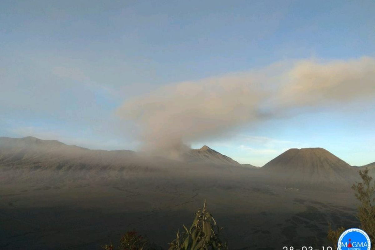 PVMBG: PPGA Bromo diguyur abu vulkanik dan tercium bau belerang