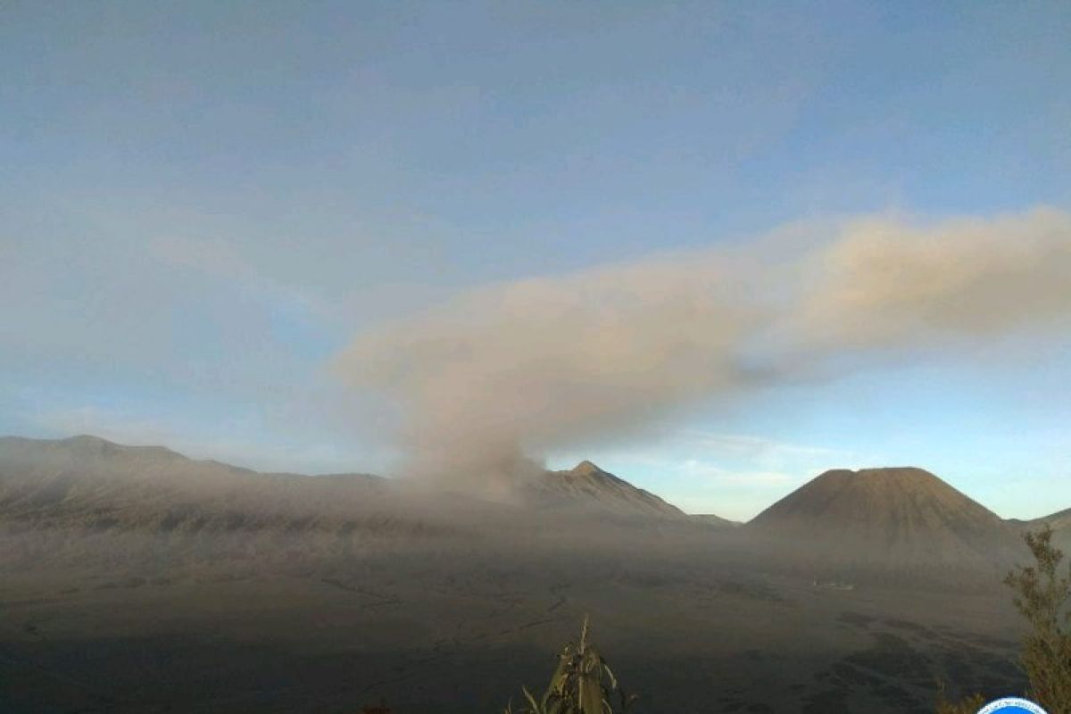 PPGA Bromo diguyur abu vulkanik dan tercium bau belerang