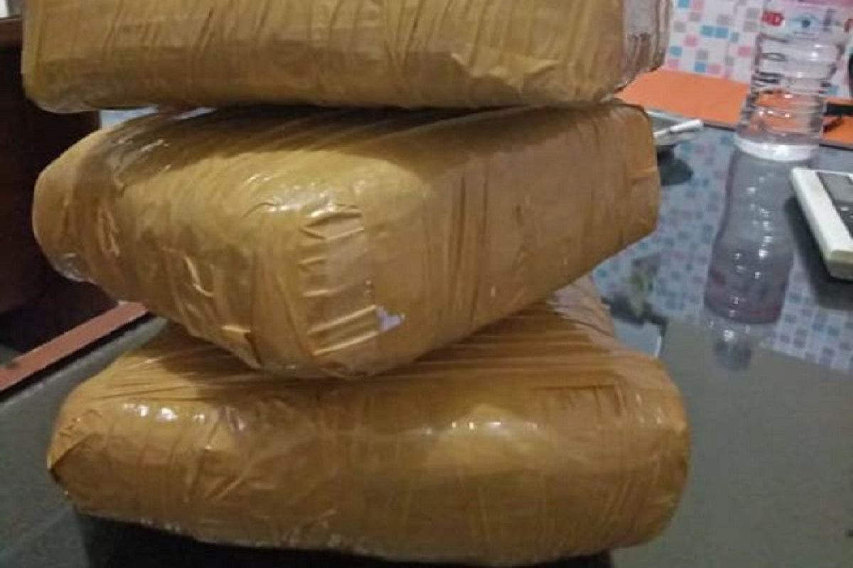 Polda Lampung gerebek tersangka dan amankan 4 kg ganja