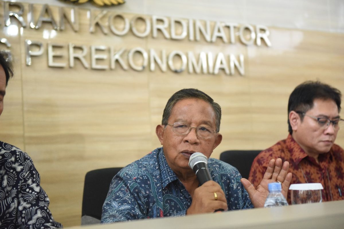 Garlic imports await permit issuance from Trade Ministry: Darmin