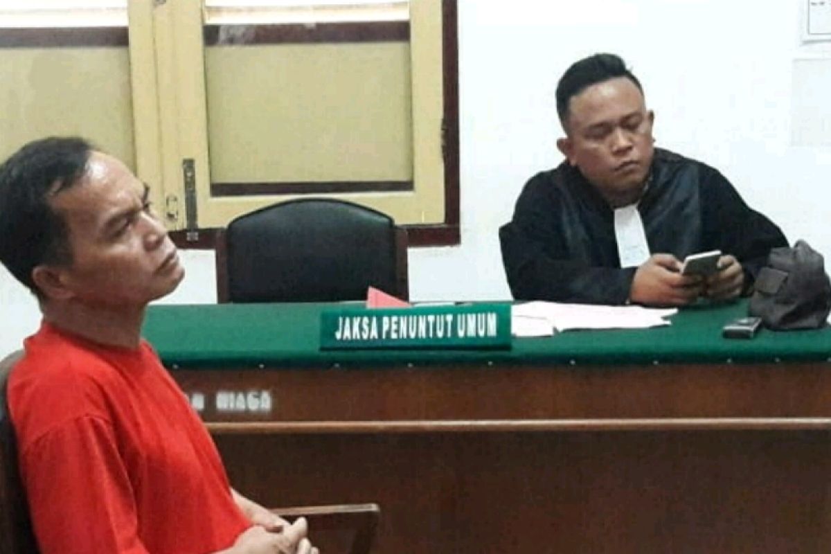 Oknum guru cabuli keponakan dihukum tujuh tahun penjara