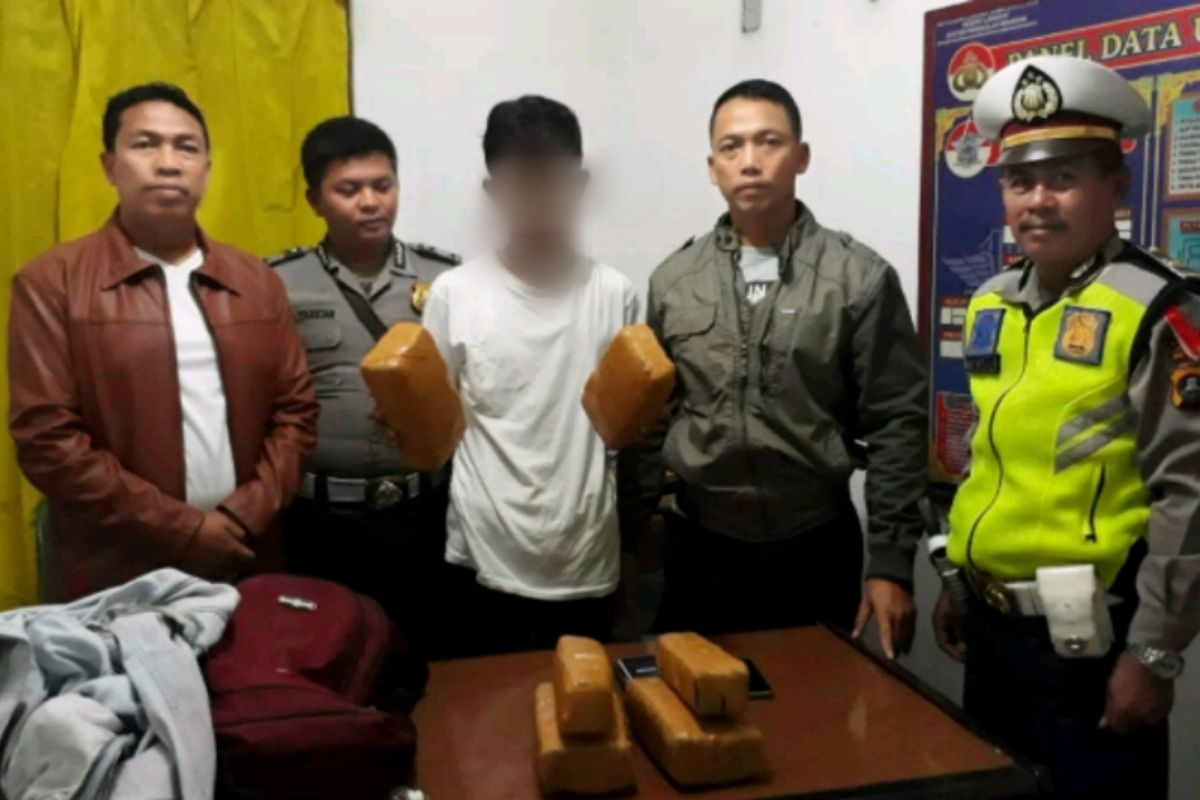 Polsek Pangkalan Brandan ringkus pembawa 5 kg ganja