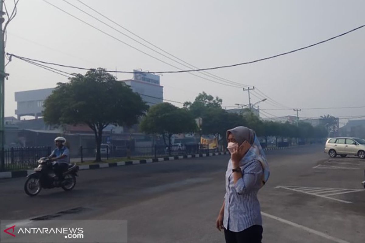 Kabut asap tipis akibat kebakaran hutan selimuti kota Pekanbaru dan Dumai