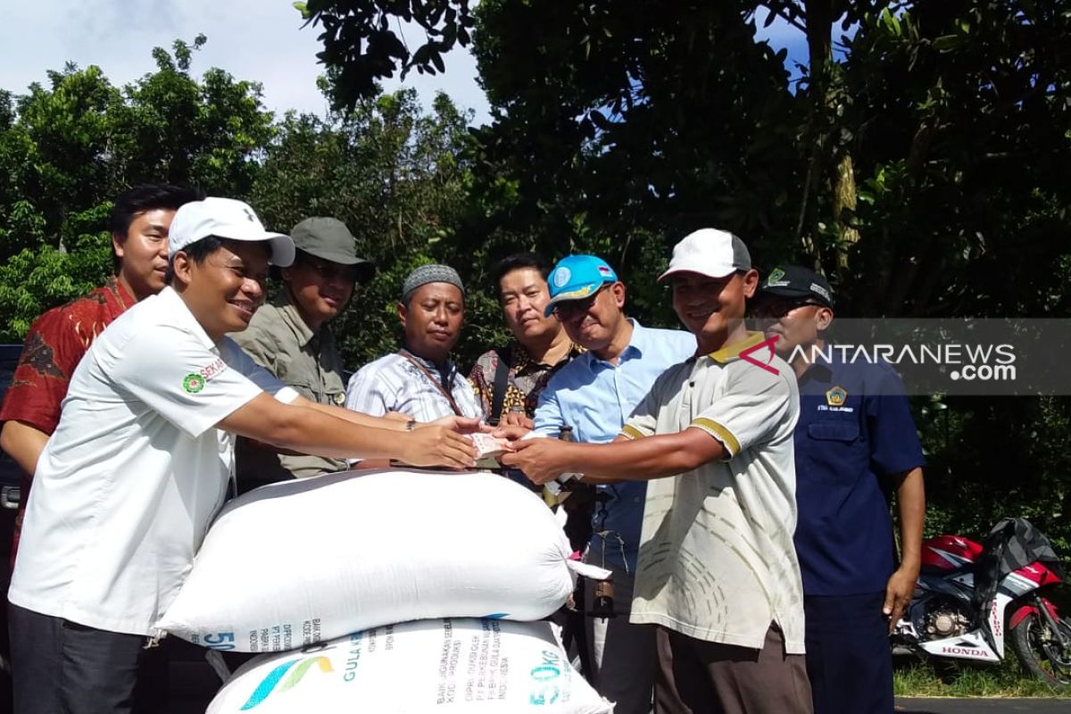 Bulog Jember beli gabah para petani di atas HPP