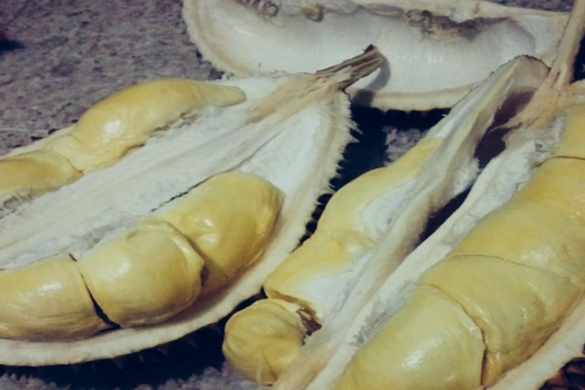 Spesialis: durian tidak mengandung kolesterol