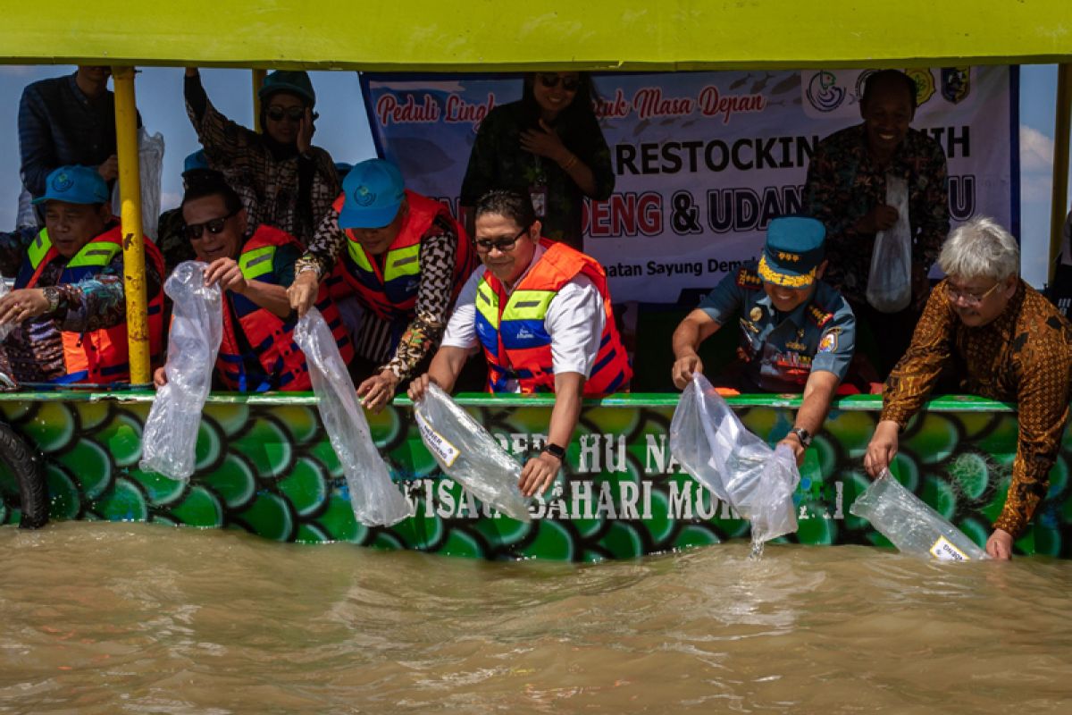 Ribuan benih bandeng dan udang ditebar di perairan Demak