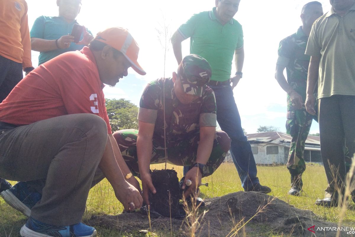 Pariaman tanam ribuan pohon di pantai antisipasi bencana