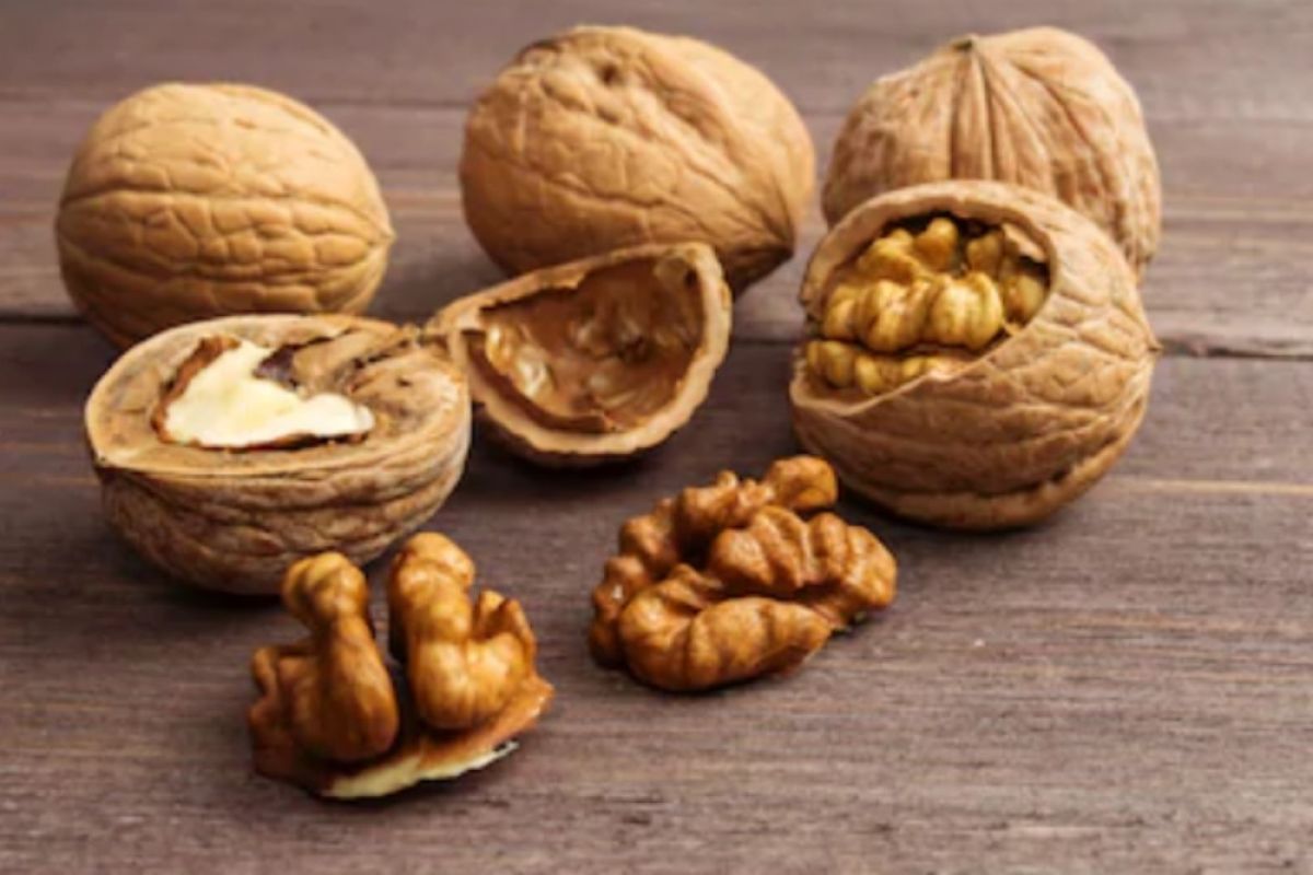 Lawan kanker payudara dengan walnut