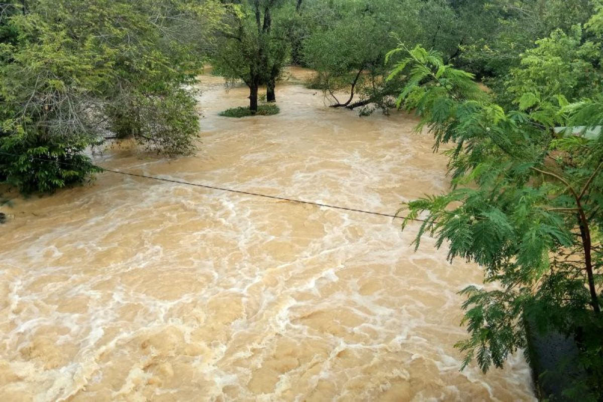 Ratusan hektare kebun karet dan sawit di Mesuji terendam banjir