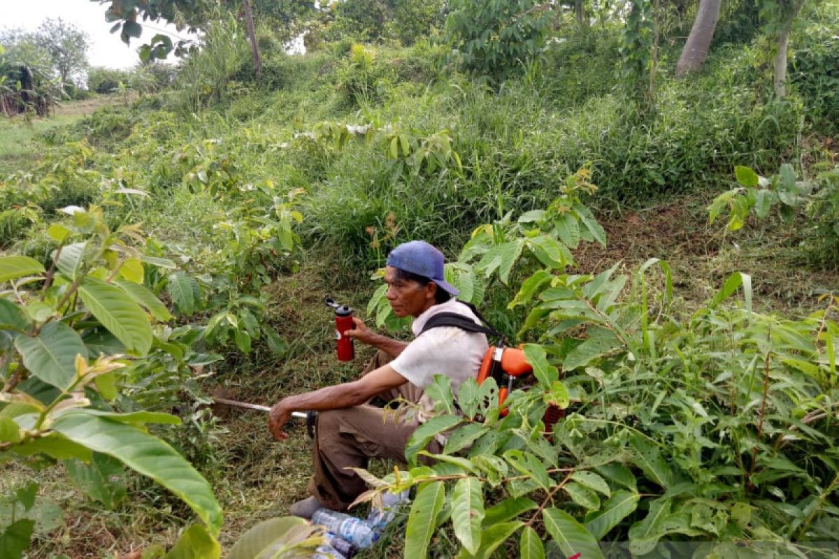 9.000 pohon berhasil ditanam melalui gerakan memungut sehelai sampah