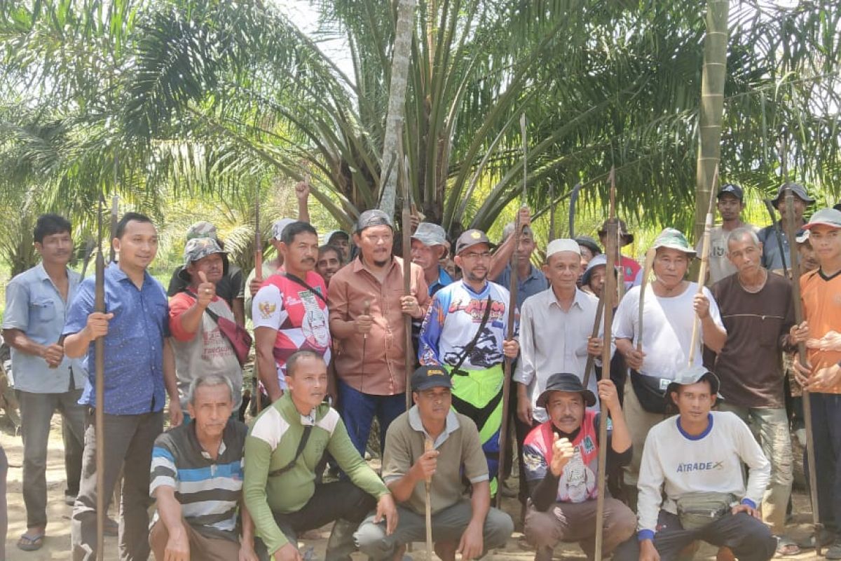 Anggota DPR buru hama babi sama petani Abdya