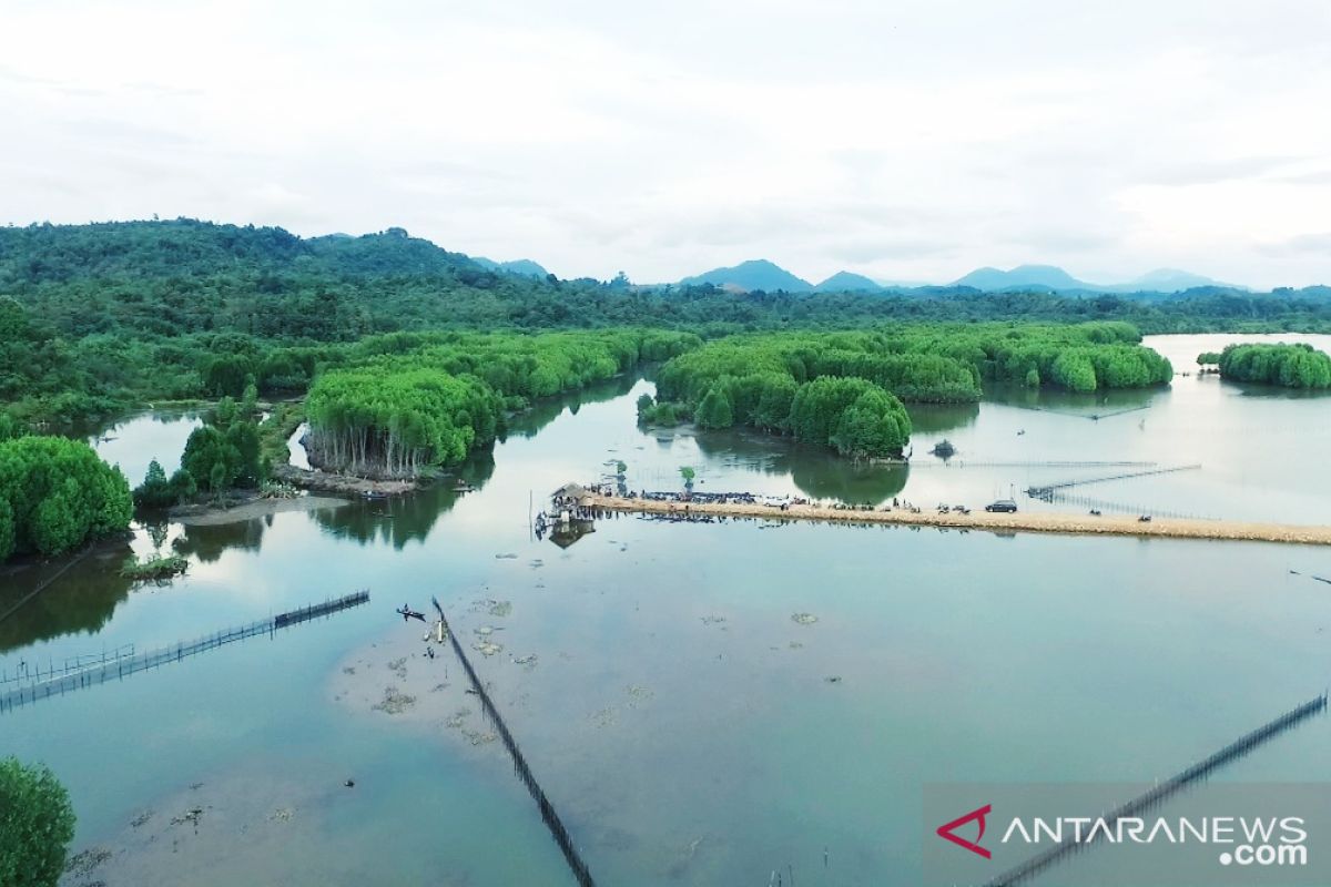 Suka mancing, yuk coba spot baru di Aceh Jaya