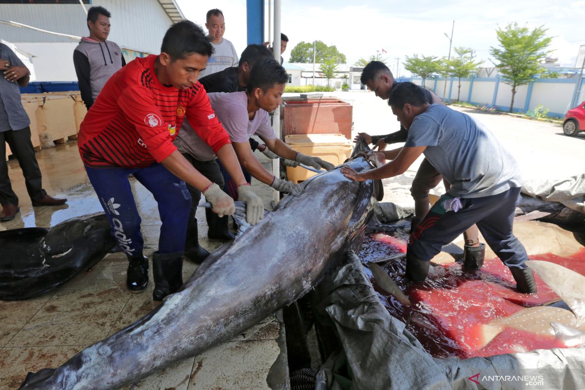 Dua nelayan Aceh meninggal akibat tabung kompresor meledak