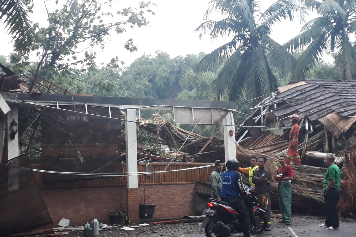 Pohon tumbang tewaskan satu orang di Depok