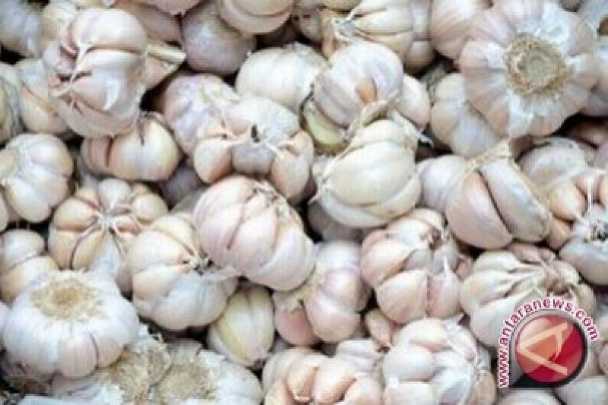 Permintaan tinggi penyebab kenaikan harga bawang putih di Yogyakarta