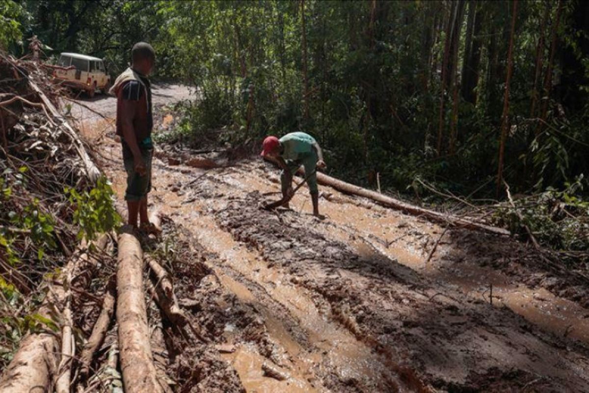 PBB: 20.000 pengungsi di Zimbabwe terdampak topan