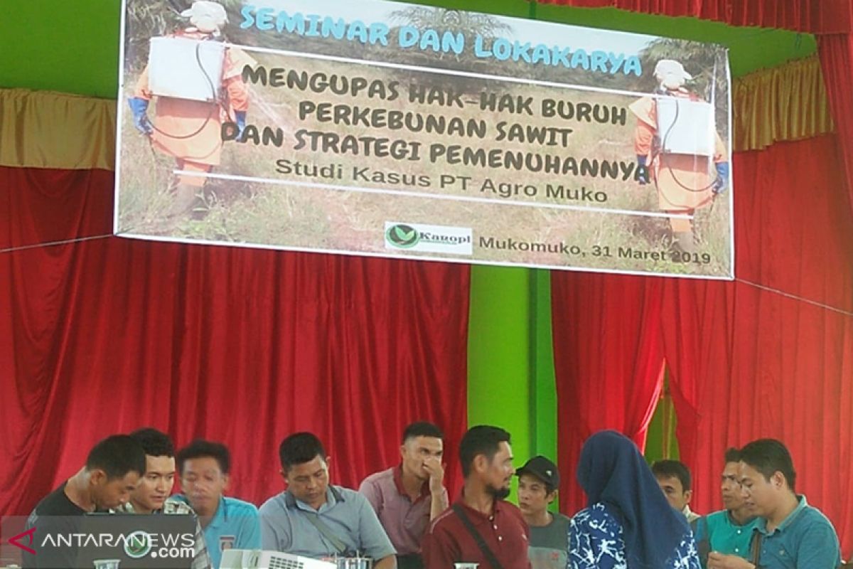 Kanopi temukan dugaan pelanggaran perusahaan sawit Mukomuko