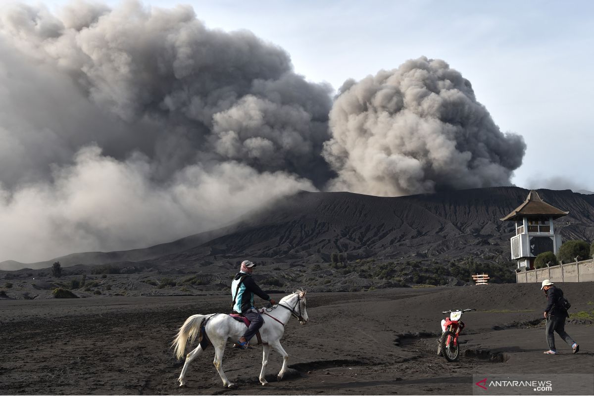 Aktivtas warga di lereng Gunung Bromo kembali normal