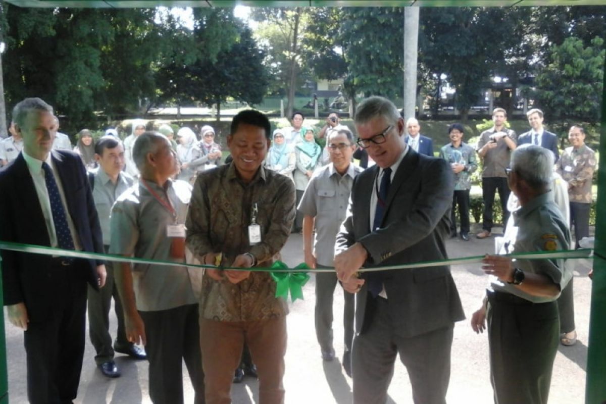 Lembaga Penelitian Padi Internasional berkantor di Bogor