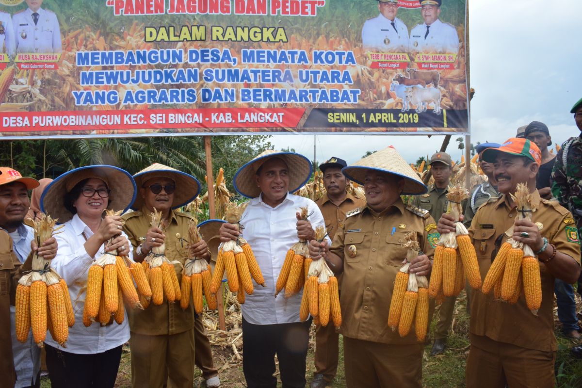 Gubernur Sumut berencana dirikan pabrik pupuk organik di Langkat