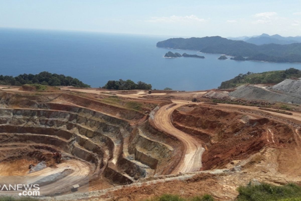 30,1 hektare lahan tambang emas Tumpang Pitu Banyuwangi direhabilitasi