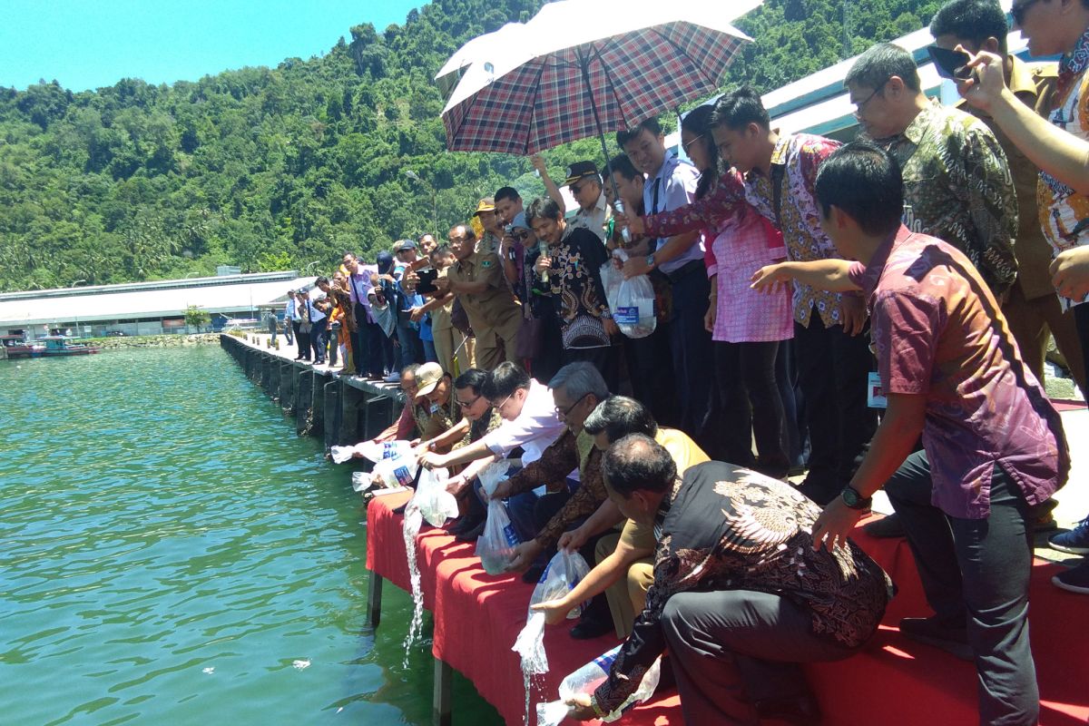 KKP kucurkan Rp11,01 miliar untuk pengembangan nelayan kecil di Pesisir Selatan