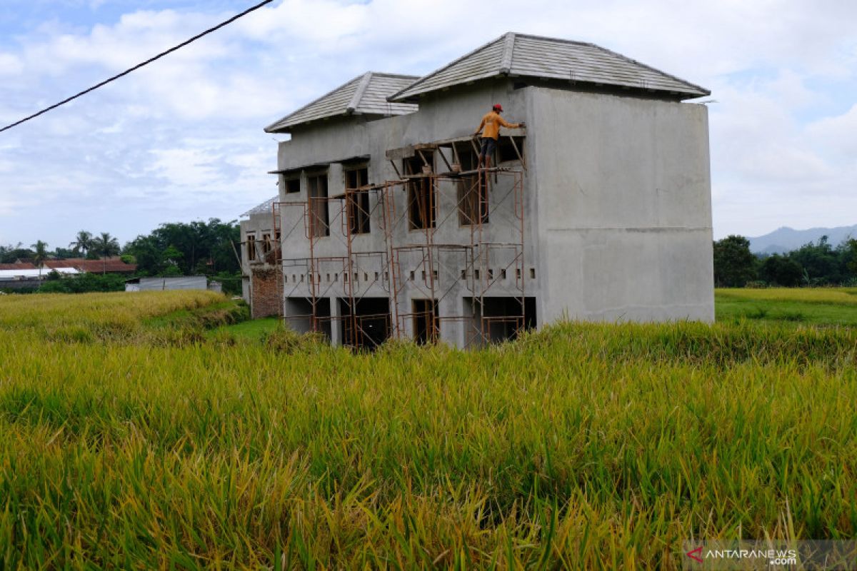 Luas baku sawah berkurang 650.000 ha per tahun