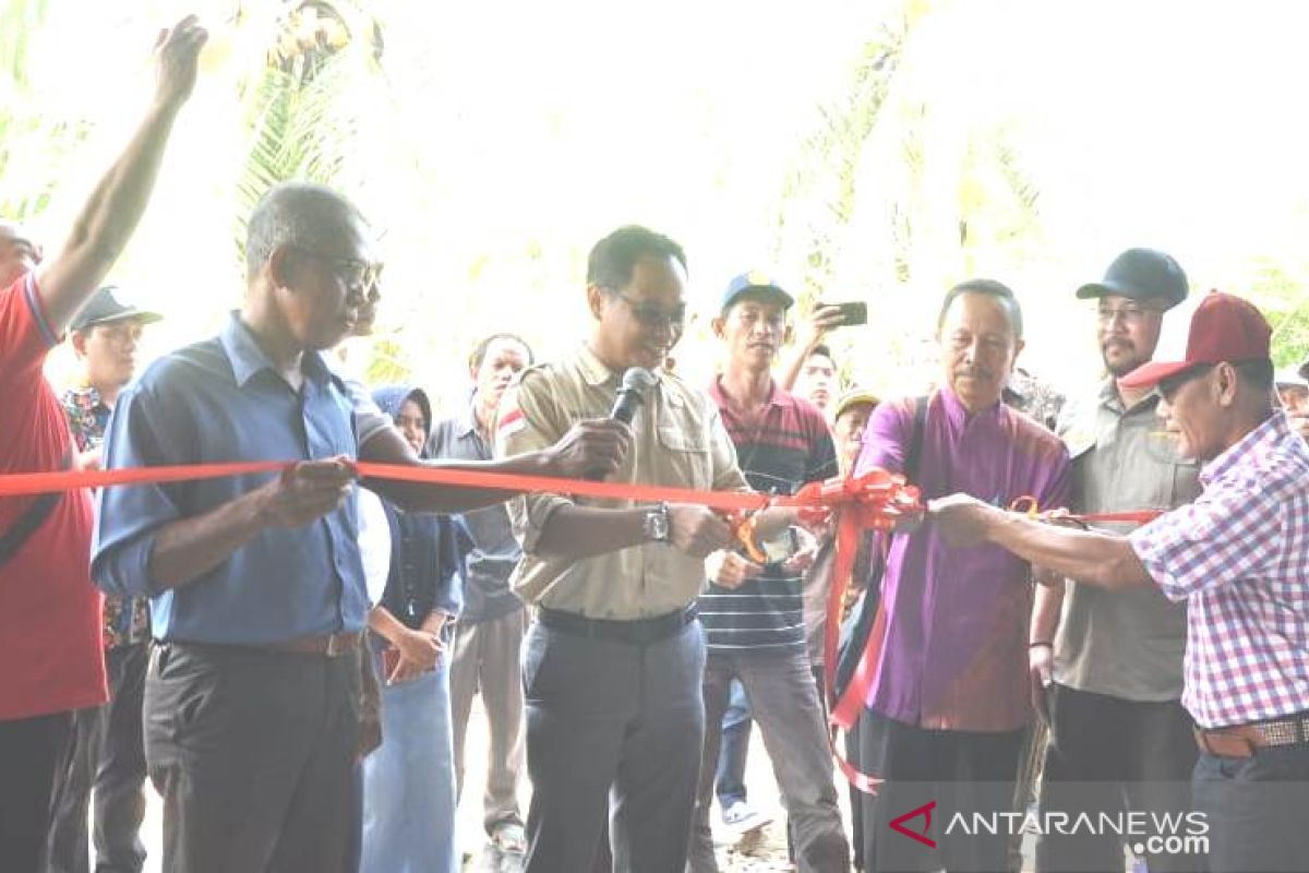 Pemerintah terus dorong perbaikan mutu beras petani Kalbar