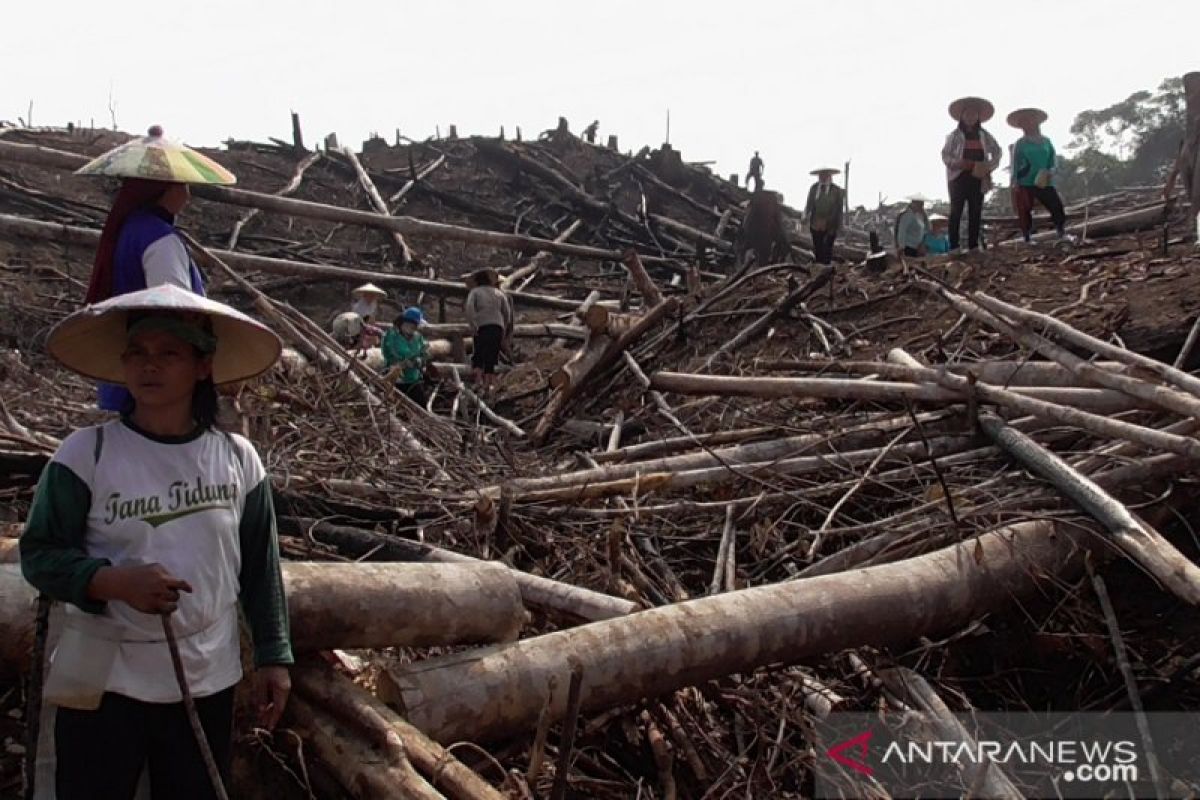 Nilai tukar petani Kaltim membaik naik 0,03 Persen