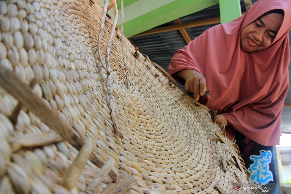 Desa Pela kembangkan industri berbahan baku enceng gondok