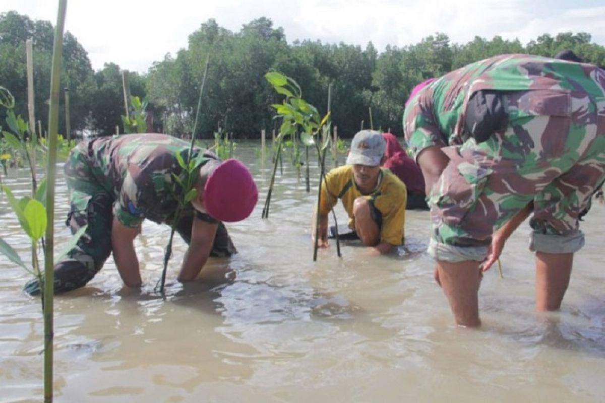 Ribuan mangrove ditanam Brigif 4 Marinir/BS-warga di pesisir Lampung