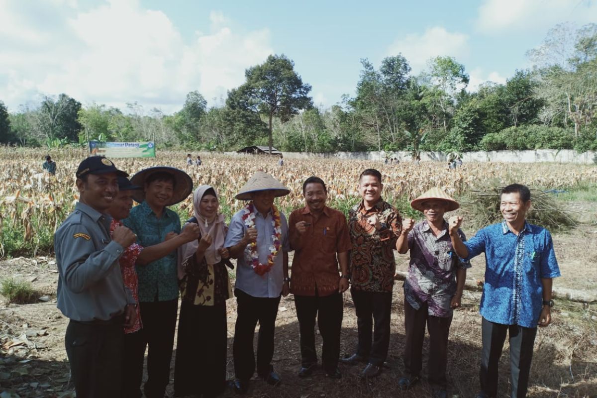 Bupati Bangka Tengah minta seluruh sekolah punya lahan jagung