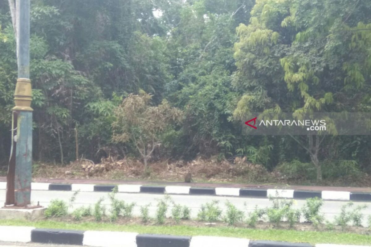 DPRD Siak minta kejelasan lahan di Jalan Raja Kecik