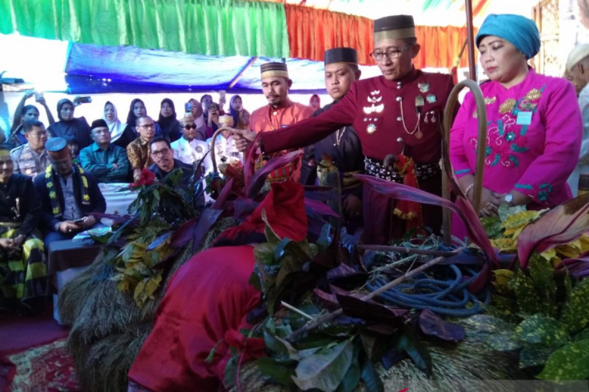 pesta adat "katto bokko" wujud kebersamaan