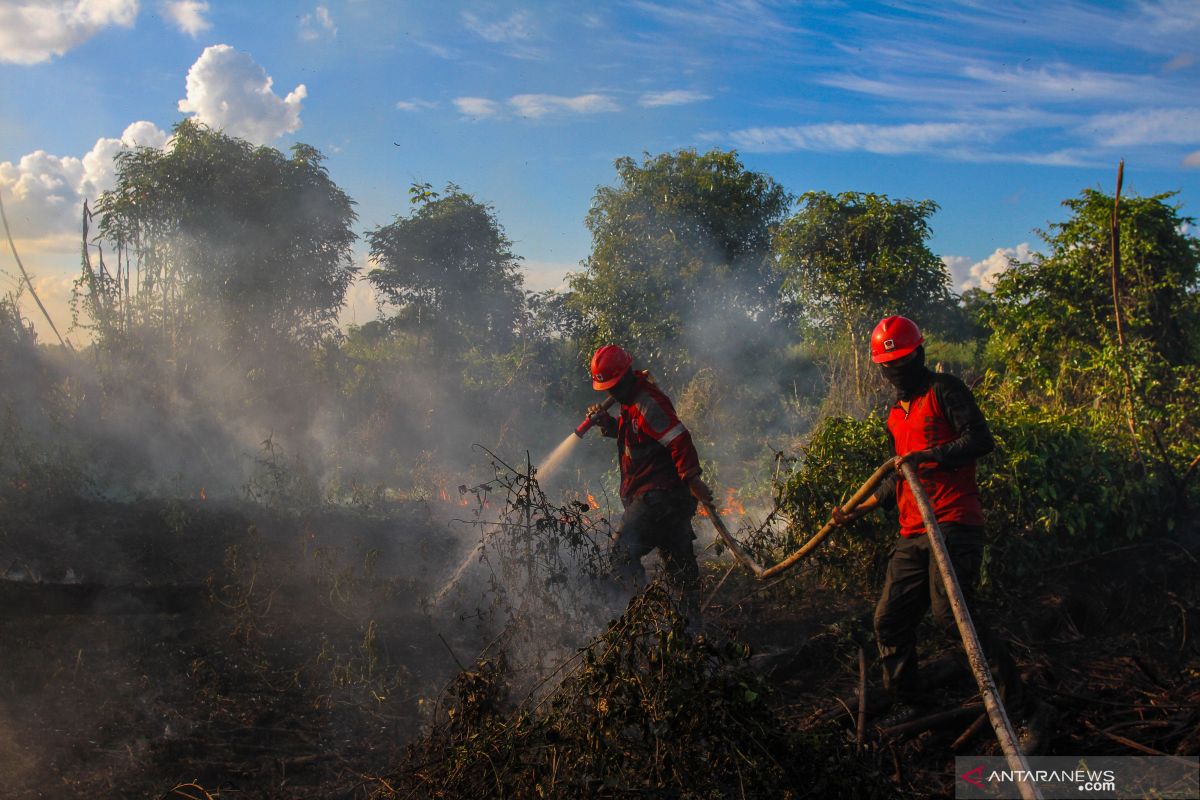 3.147 hektare hutan-lahan Riau terbakar sejak Januari hingga Juni