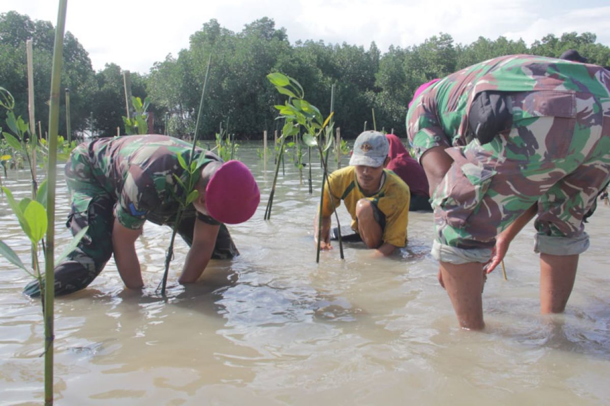 Brigif 4 Tanam 3000 Mangrove di Perairan Pesisir Pantai Mahitam