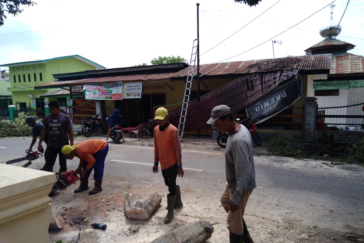 Angin kencang, pohon tumbang timpa rumah di Tebing Tinggi