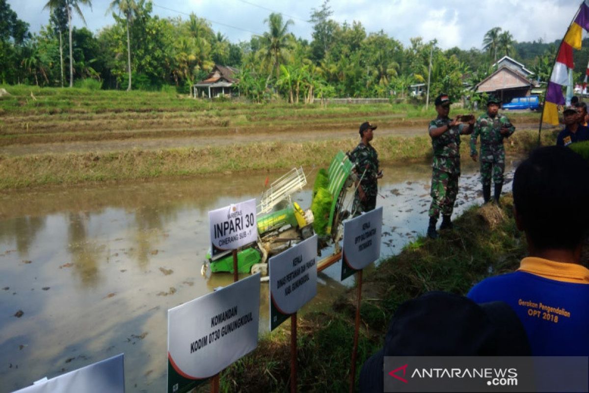 BPTP Yogyakarta memperkenalkan sistem jajar legowo ke petani Pathuk