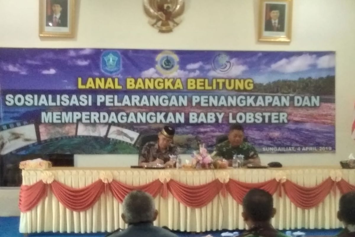 Lanal Bangka Belitung sosialisasikan larangan penangkapan 