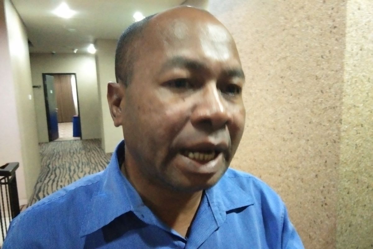 Komnas HAM : Ada Kemajuan Pembangunan Politik di Papua