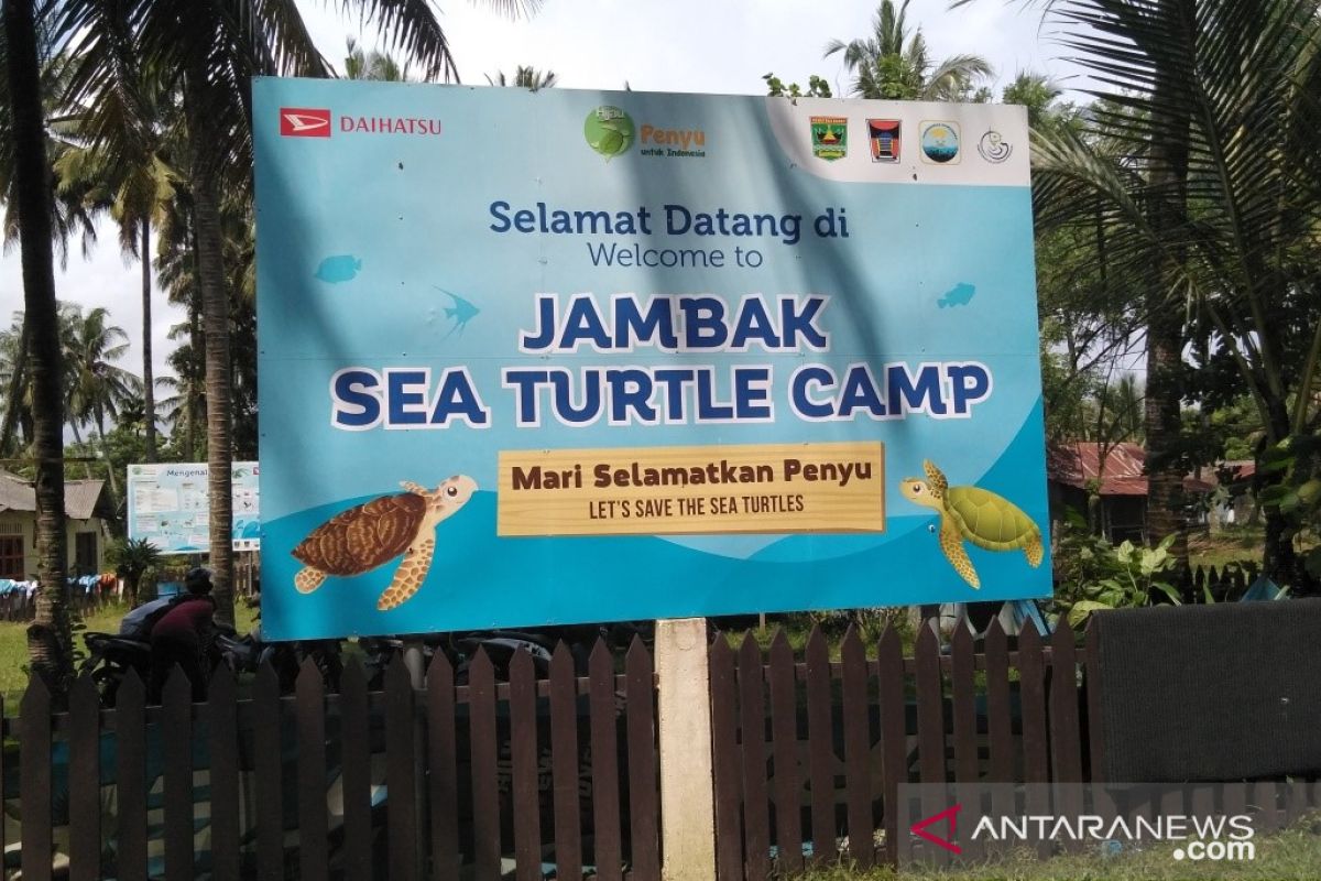 The Initiative Of The Jambak Sand Community To Make Turtles