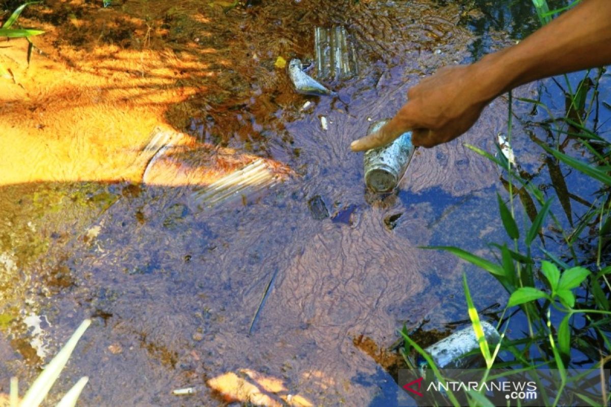 Diduga tercemar limbah, warga temukan ikan mati di sekitar PLTU Nagan Raya