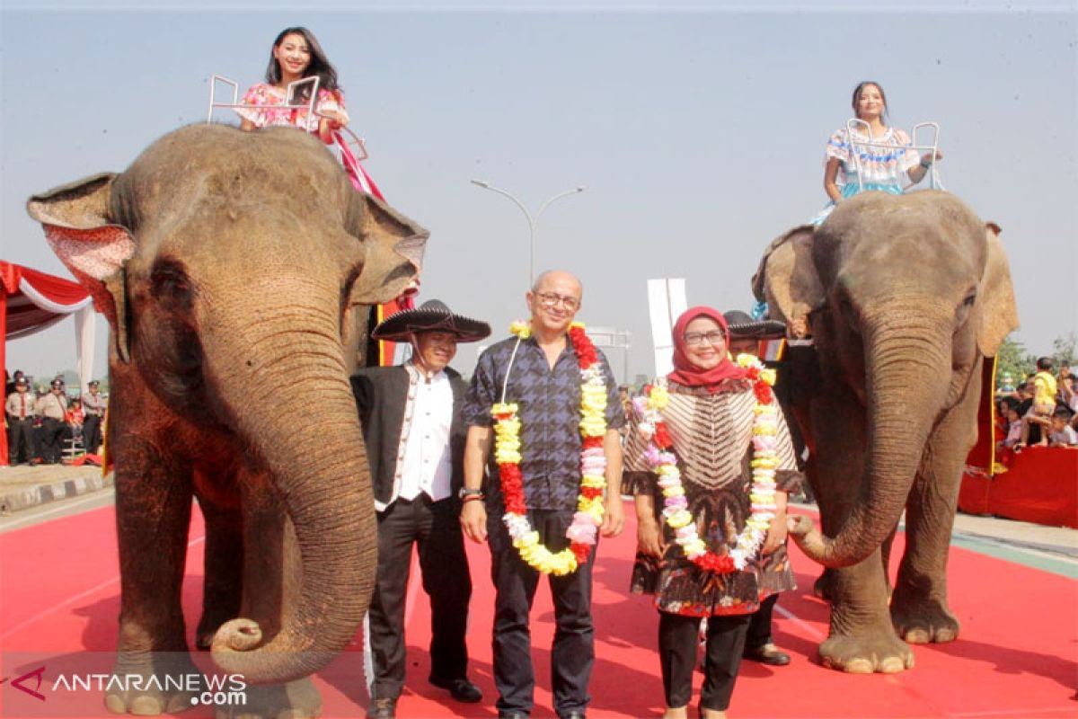 Gajah Taman Safari meriahkan Bogor Fest