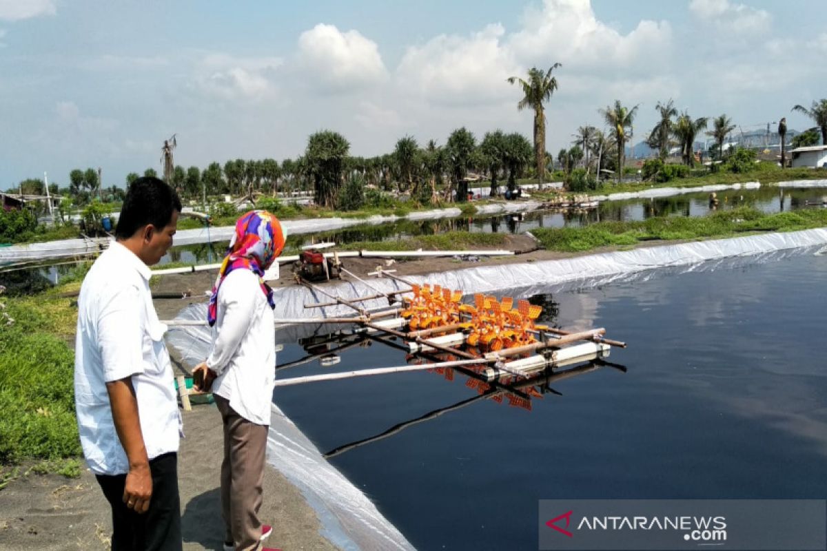 Bandara NYIA segera diresmikan, tambak udang belum ditertibkan