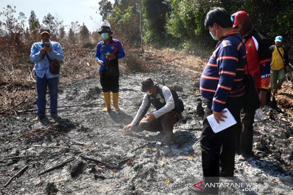 Ahli IPB dilibatkan polisi pada kebakaran hutan-lahan