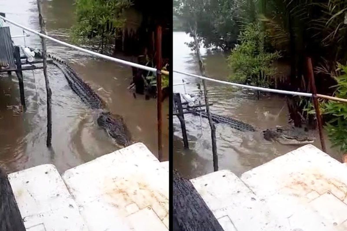 Buang bangkai ke sungai sama halnya 