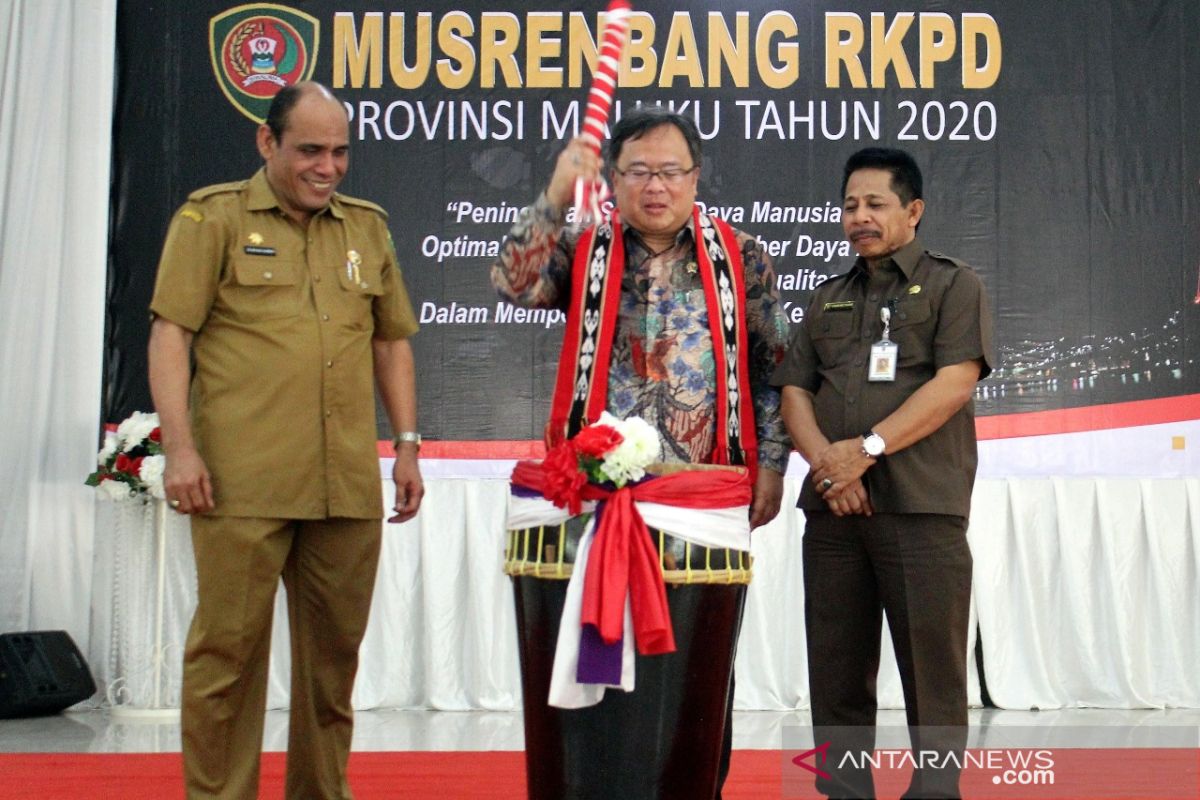 Menteri PPN arahkan pembangunan Maluku harus ramah investasi